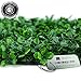 Ranka Lasting Greenery Artificial Boxwood Panels - Dark Green 6 Pack of 40x40 inch Panels (Covering 64.5 sqft.)