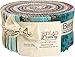 Eleanor Burns Homestead Country Pinwheel 40 2.5-inch Strips Jelly Roll Benartex, Assorted