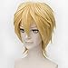 Flovex Short Straight Anime Cosplay Wigs Natural Sexy Costume Party Daily Hair (Blonde 3)