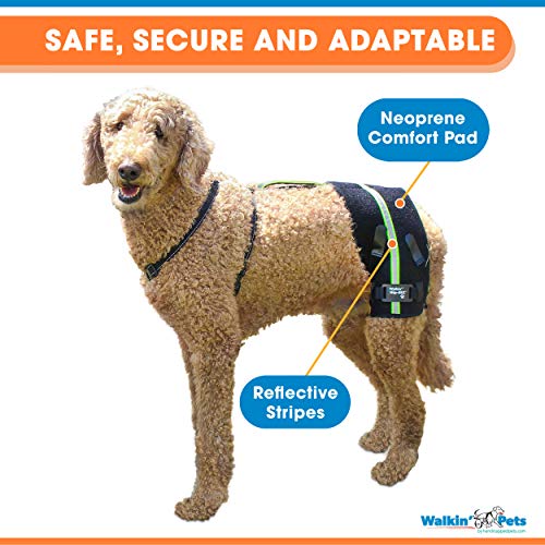 Walkin-Hip-EEZ-Dog-Hip-Brace-Support-Harness-System-Provides-Joint-Support-for-Dogs-with-Hip-Dysplasia-and-Other-Conditions-Affecting-The-Hip-Joint
