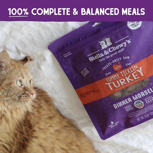 STELLA & CHEWY’S FREEZE-DRIED RAW CAT DINNER MORSELS – PREMIUM TURKEY RECIPE WITH 98% FARM-RAISED MEAT & ORGANS – NATURAL GRAIN-FREE CAT & KITTEN FOOD – MADE IN USA – 3.5 OZ