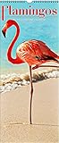 2018 Flamingos Calendar