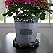 Plant Saucers (Pack of 10) - 10” Clear Durable Plant Saucer for Indoor & All-Weather Outdoor Use - Catch Dirt & Water from Plant Pots to Stop Messes & Stains in Your Home & Garden