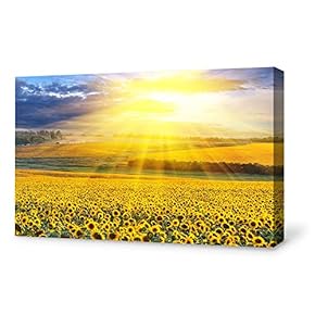 for Living Room Bedroom Home Artwork Paintings Sunflower