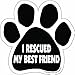 Imagine This Paw Car Magnet, I Rescued My Best Friend, 5-1/2-Inch by 5-1/2-Inch
