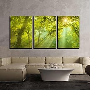 3 Piece Canvas Wall Art - Rays of Sunlight and Green Forest - Modern Home Art Stretched and Framed Ready to Hang - 16"x24"x3 Panels
