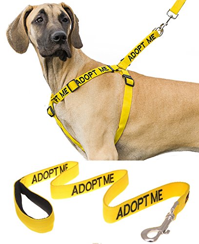 adopt me harness