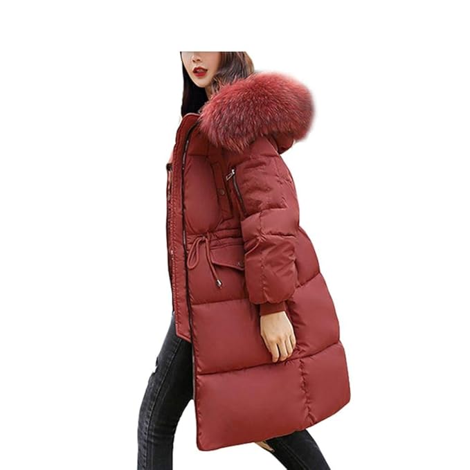 Ayguste Piumino Invernale Da Donna Con Collo Medio Lungo In