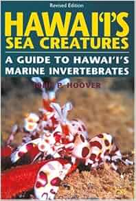 Hawaii S Sea Creatures A Guide To Hawaii S Marine