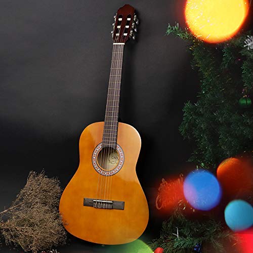 6 Classical+Acoustic+Strings+Beginners+Students