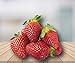 Organic Honeoye Strawberry 315 Seeds UPC 600188190847 + 1 Free Plant Marker