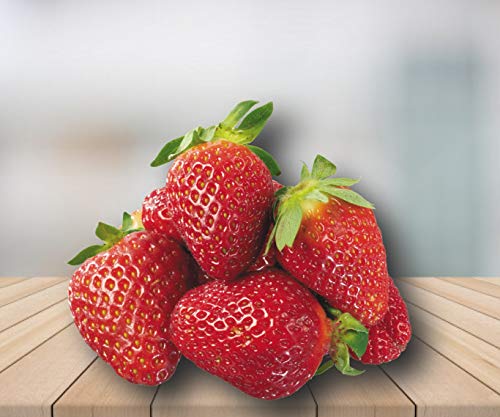 Organic Honeoye Strawberry 315 Seeds UPC 600188190847 + 1 Free Plant Marker Organic Honeoye Strawberry 315 Seeds UPC 600188190847 + 1 Free Plant Marker