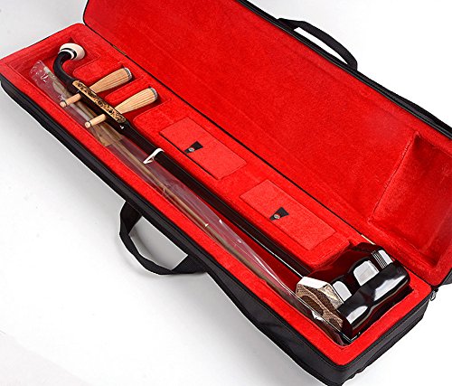 WuYue Chinese 2 Strings Traditional National Instruments Ergonomic Flat Neck Erhu Engraved with Dragon Phoneme Mark for Entry Level Case