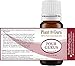 Four Gurus Essential Oil Blend 10 ml 100% Pure Natural Therapeutic Grade Blended with Clove, Cinnamon, Lemon, Rosemary Eucalyptus for Aromatherapy Diffuser and Immune Support