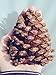 Bixby Blossom Farms Bag of 10 Pine Cones