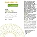 Goldfaden MD Fresh A Peel, 1.7 fl. oz.
