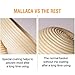Anti-Mold Mildew NEW INNOVATION Banneton Proofing Basket & Brotform Cloth Liner, Natural Rattan Ebook Gift by Mallaca (9.5 inch, nature)
