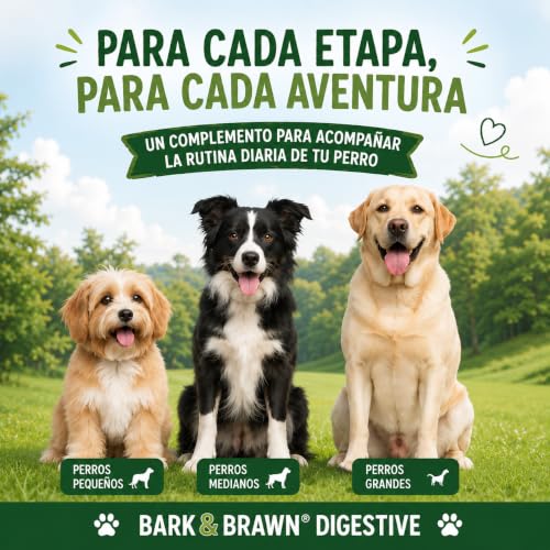 BARK & BRAWN Digestive para Perros 450g | Probióticos, Prebióticos y Enzimas Digestivas | con Raíz de Achicoria, Bromelina, Papaína, Linaza y Omega 3 | Probioticos Perro | hasta 90 Porciones
