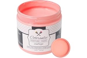 Colorantic | GRAPEFRUIT Chalk Paint for Furniture DIY - Multi-Surface All-in-One Craft Paint | PINK CORAL Home Decor Painting for Wood (8 oz)