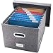 Prandom File Organizer Box - Set of 1 Collapsible Decorative Linen Filing Storage Hanging File Folders with Lids Office Cabinet Letter/Legal Size (17x14x11.2 inch)...