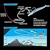 Goture-Lead-Head-Jigs-Soft-Fishing-Lures-with-Hook-Sinking-Swimbaits-for-Saltwater-and-Freshwater-Pack-of-5