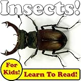 Insects! Learning About Insects - Insect Photos And Facts Make It Fun! (Over 45+ Pictures of Different Insects)