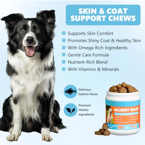 Allergy Relief Chews for Dogs Skin and Coat with Salmon Oil Omega 3 for Dog Shedding, Itchy Dry Skin, Seasonal Scratching & Paw Licking Comfort - Probiotics, Colostrum, for All Breeds & Size, 200 Ct