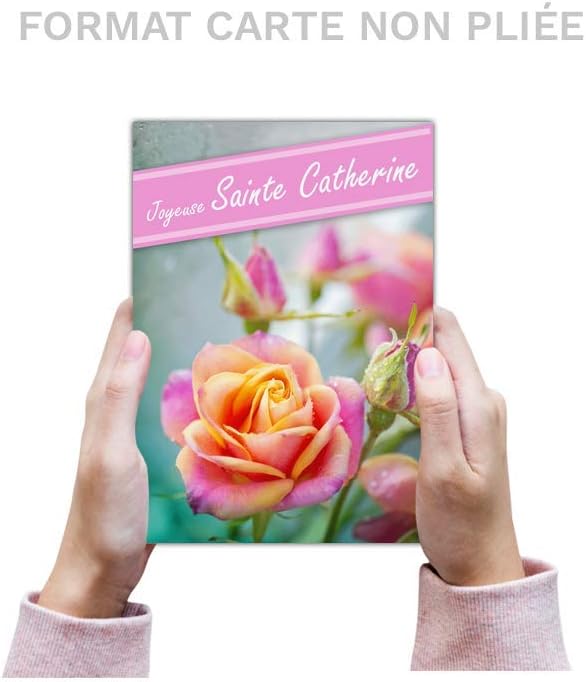 Carte Sainte Catherine Lot De 16 Cartes Differentes Format Carte Non Pliee 3 Formats Dispos Tres Belle Carte Sainte Catherine Amazon Fr Fournitures De Bureau