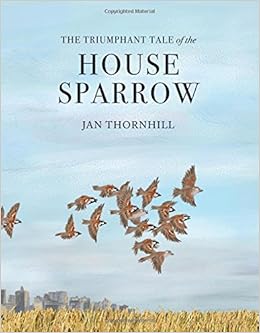 Image result for triumphant tale sparrow thornhill amazon