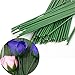 Arlai Pack of 50, Diameter 2mm Dark Green Paper Wrapped Floral stem Wire 16 Inch Floral Stem Wire - DIY Bouquet Stem Wrapping and Crafts