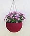 TABOR TOOLS Self-Watering Hanging Planter for Indoor-Outdoor. Wicker-Design, 10 Inch Diameter Plastic Weave Basket with Water Level Indicator Gauge. TB703A. (Red - Burgundy)