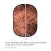 Fovitec - 5'x6.5' Hand-Painted Brown Pop-Up Collapsible Backdrop for Video & Photo