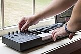 Alesis V25