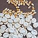 *WORLDS LARGEST GIANT CORN CUZCO*35 seeds*RARE*#1050