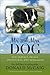 Mr. and Mrs. Dog: Our Travels, Trials, Adventures, and Epiphanies by 