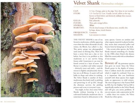 Mushrooms River Cottage Handbook No 1 Amazon Co Uk John Wright