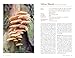 Mushrooms: River Cottage Handbook No.1