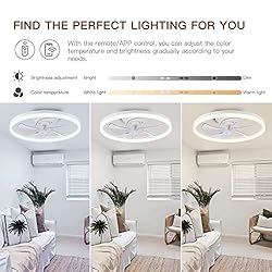 STERREN Ceiling Fans with Lights,20" Low Profile