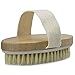 Souvea Dry Skin Body Brush, Improves Skin's Health and Beauty, Natural Bristle Removes Dead Skin and Toxins, Cellulite Treatment, Improves Lymphatic Functions