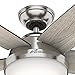 Hunter Fan 54 inch LED Indoor Brushed Nickel Ceiling Fan with Light and Remote Control (Renewed)