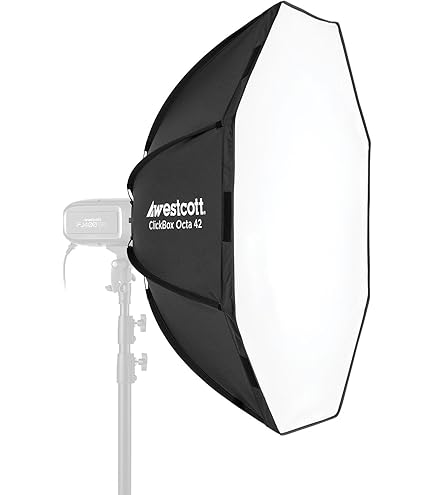 Amazon.com : Westcott Rapid Box Switch 26