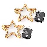 TaoTronics Battery Operated LED String Lights (2 Pack), Waterproof 16.4 feet 50 LED String Lights Indoor and Outdoor, Decorative Lights for Wedding, Party, Holiday (Certified Refurbish)
