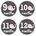 Pinkie Penguin Whale Baby Monthly Stickers - Baby Girl - 1-12 Months - Milestone Onesie Stickers - Month Stickers for Baby