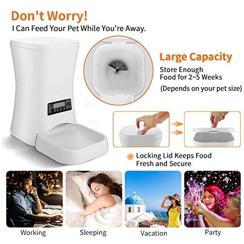 Homdox Automatic Cat Pet Feeder Food Dispenser Hopper For Cat Dog Auto Cat Feeder With Timer Programmable Portion Best Pets Supplies