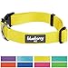 Blueberry Pet Essentials Small Dog Collar | Girl Dog Collars Fall | Female Dog Collar Small | Blazing Yellow Dog Collars for Small Dogs | Quick Release Dog Collar | Blazing Yellow Nylon Dog Collar
