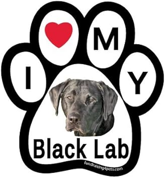i love my black lab