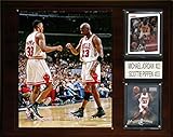 NBA Chicago Bulls Michael Jordan-Scottie Pippen Player Plaque, 12 x 15-Inch