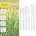 100% Eco-Friendly Compostable Cutlery Set - 300 pieces (100 Forks | 100 Spoons | 100 Knives) - Durable disposable utensils made from renewable plant-based resources