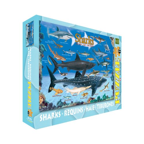 Sharks 100 Piece Jigsaw Puzzle
