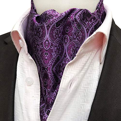 MENDENG Mens Blue Red Grey Paisley Jacquard Woven 100% Silk Cravat Necktie Ascot